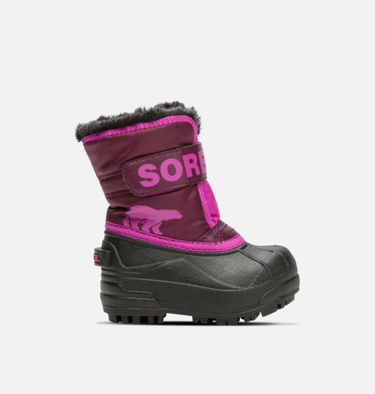 Botas Nieve Sorel Niños - Toddler Commander™ Moradas/Rosas/Negras - 71648-HUWS